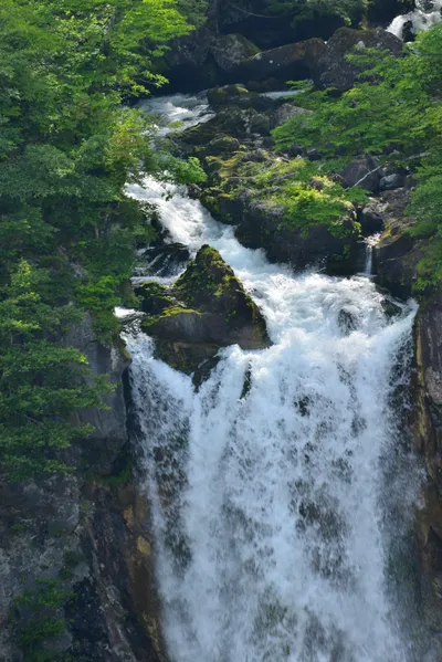 DSC_3963 (Large).JPG